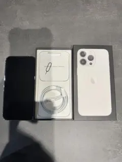 美品iPhone13Pro1TB香港版ゴールド物理DualSIM箱クロコケース付 - メルカリ