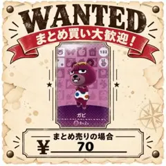 ガビ　amiibo あつ森　アミーボカード　②