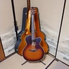 2026年最新】TAKAMINE NPT-012の人気アイテム - メルカリ