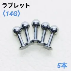 Item thumbnail for item 17c6b24c-8beb-44a1-95ea-fab2e225435a