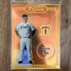 Item thumbnail for item 91d3d455-737e-4a96-a69f-1586c651dec9