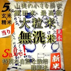 「殺虫剤：農薬不使用」大粒米／玄米５キロ「無洗米に精米」のサムネイル