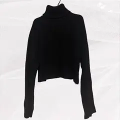 ニット ブラック Mサイズ タートルネック シンプル