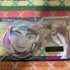 牛島若利　缶バッジ　クリアカードセット