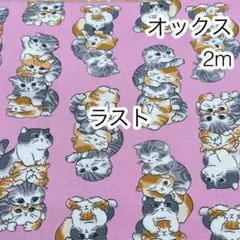 ラスト 2m ぎゅうぎゅう猫 ピンク オックス
