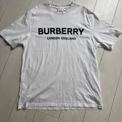 BURBERRY バーバリー ホワイト Tシャツ 穴あきデザイン 新品タグ付き 