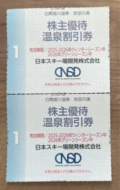 白馬姫川温泉 岩岳の湯 温泉割引券　2枚