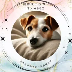 【送料無料❣️】ジャックラッセルテリア防水ステッカー