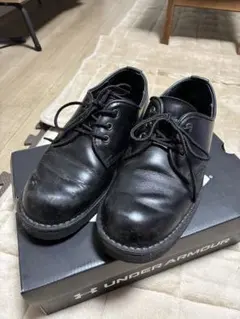 Item thumbnail for item 6f713bed-1e88-42e0-8f45-5eb780b4c879