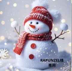 RAPUNZEL様 リクエスト 2点 まとめ商品