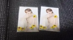 中島颯太　フォトカード　FANTASTICS SUN FLOWER　ファンタ