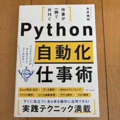 python IT