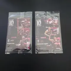 Bリーグ カード 2種