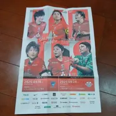 浦和レッズレディース 告知チラシ タブロイド版②
