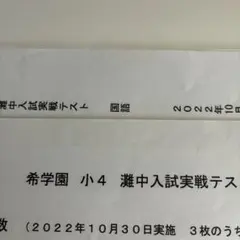 Item thumbnail for item 077b9dc9-5685-404c-a243-ea0edbfe6c27