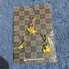 ポケモン　全国ずかんメタルチャーム　ピカチュウ　ライチュウ　ピチュー
