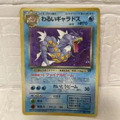 2025年最新】ポケモンカードわるいギャラドスの人気アイテム