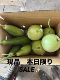 新鮮とれたて夕顔ラウ 箱込み13〜15kg - メルカリ