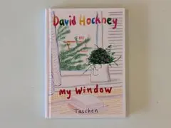 初版送料込David Hockney Secret Knowledgホックニー Amazon | Secret Knowledge: Rediscovering the lost techniques