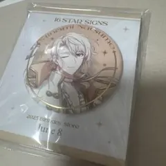 アイドリッシュセブン アイナナ バースデー 缶バッジ 巳波