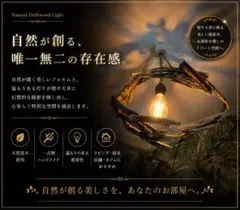 流木の吊り下げ照明 2灯式⭐️天然木⭐️LED電球専用⭐️E26