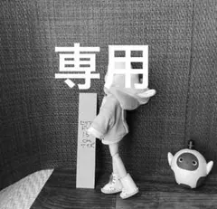 専用