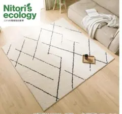 ほこりが取れやすい洗えるラグ(タフトラグ 130X185 BE SR003)