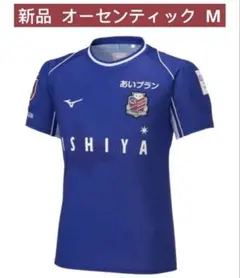 Item thumbnail for item c0068e22-7eaa-43b0-8f7f-7529b0a3669d