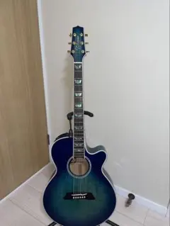 2026年最新】takamine TDPの人気アイテム - メルカリ