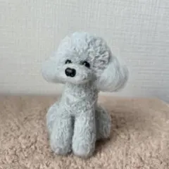 毛糸ぽんぽん トイプードル グレーのサムネイル