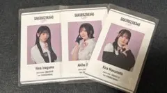 櫻坂カフェ　後期特典　IDカード（大沼晶保/増本綺良/稲熊ひな）　まとめ売り