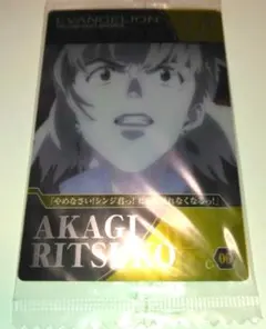 赤城リツコc-06