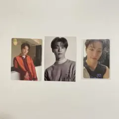 seventeen ディノ　トレカ　セット　まとめ売り