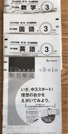 2025年度　中3　第1回　学力推移調査　ベネッセ ベネッセ 学力推移調査 2024年度 中3 第1回 - メルカリ
