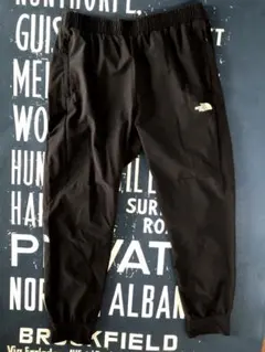 ザノースフェイス THE NORTH FACE APEX FLEX PANT