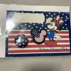 ディズニーリゾート　ヘアポニー　グリーティングカード付き