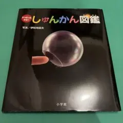 Item thumbnail for item 5e082c51-3ebe-40cb-8747-2a33b205e23f