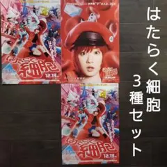 映画　実写版　はたらく細胞　３種セット　チラシ　フライヤー