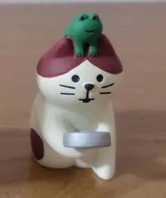 コンコンブル　雨の日観察猫