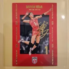 バレーボール日本代表 和田由紀子 トレーディングカード