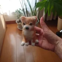 Item thumbnail for item 0f37a25f-4e08-44fc-9eab-f7b4754da82a