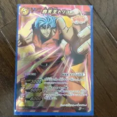 ミラクルバトルカードダス トリコ TR 05 Vジャンプフェスタ2011 - メルカリ