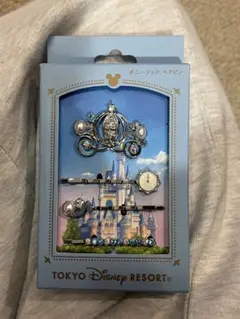 東京ディズニーリゾート ヘアピンセット