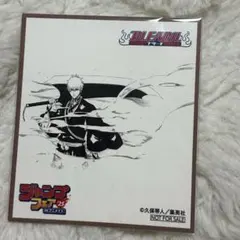 ジャンプフェア　アニメイト特典 ミニ色紙　BLEACH ブリーチ