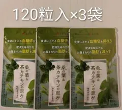 新品未開封品 和漢の森 桑の葉&茶カテキンの恵み 120粒入 2袋セット