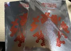 エヴァンゲリオン クリアファイル 2枚セット