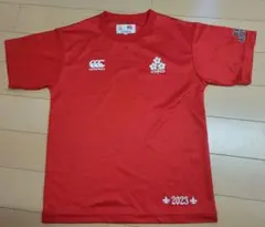 Item thumbnail for item f1726d59-2c83-4b8a-b1d9-b7e5e2d21a0a