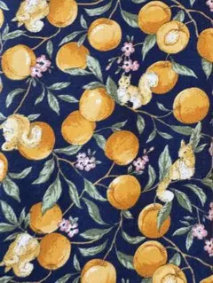 COSMOTEXTILE 果物とリス柄 生地 約100cm幅×100cm