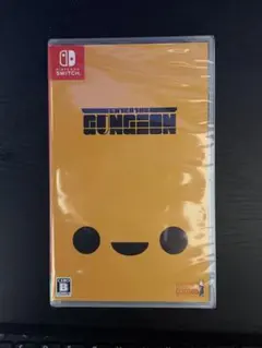 Enter the Gungeon エンターザガンジョン　新品未使用