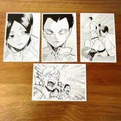 【匿名配送】ハイキュー‼︎10thクロニクル 思い出スナップフォトカード 青城